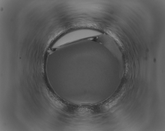 X0000089670399200707121229