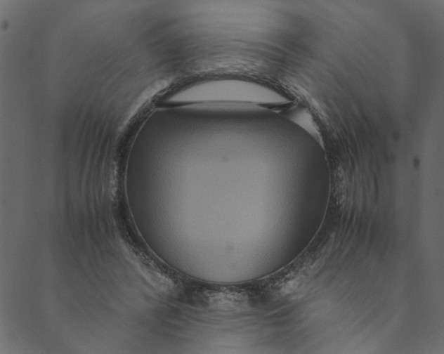 X0000089670400200707121229