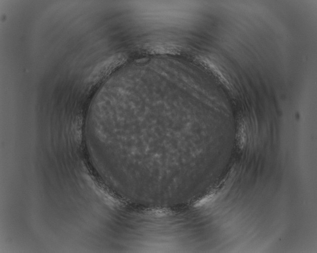 X0000089670402200707121229