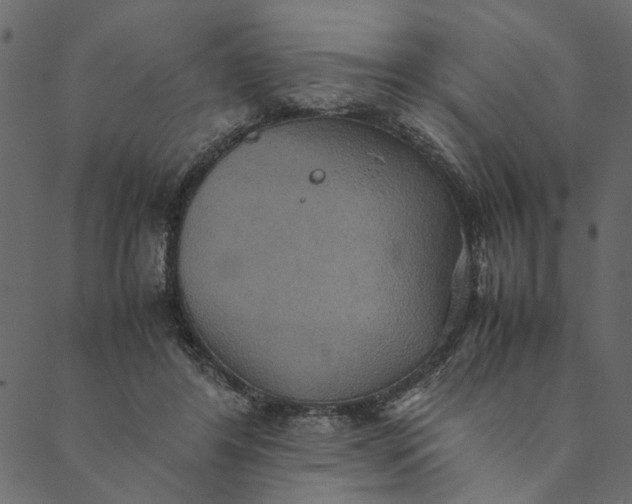 X0000089670404200707121229