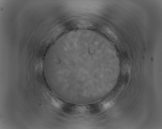 X0000089670405200707121229