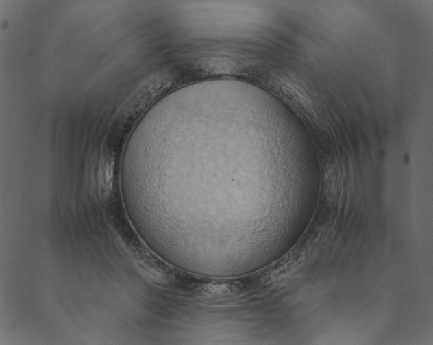 X0000089670406200707121229