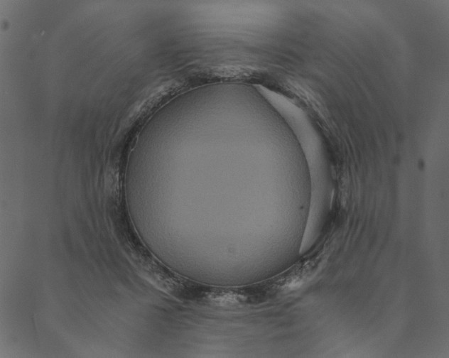 X0000089670407200707121229