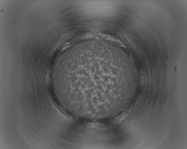 X0000089670408200707121229