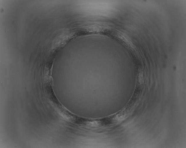 X0000089670411200707121229