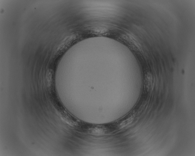 X0000089670412200707121229