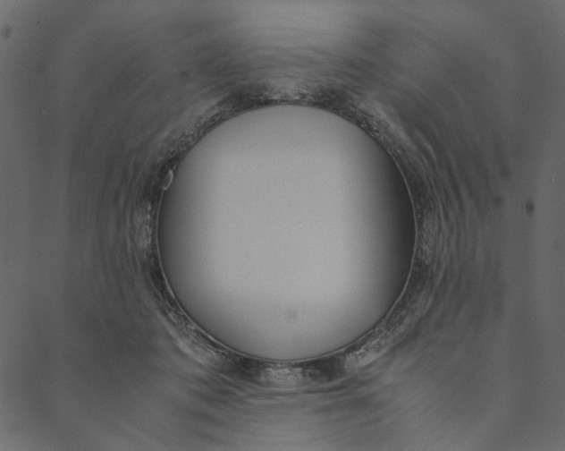 X0000089670413200707121229