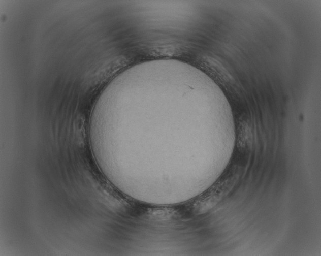 X0000089670414200707121229