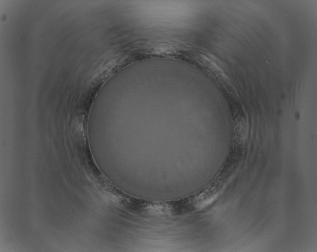 X0000089670415200707121229