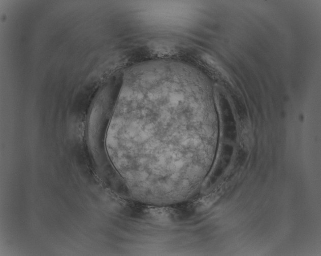 X0000089670417200707121229