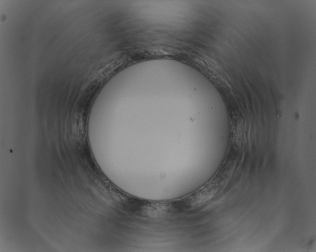 X0000089670418200707121229