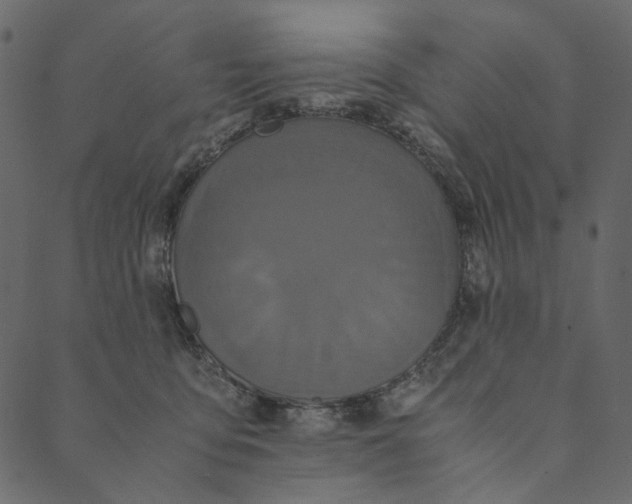 X0000089670419200707121229