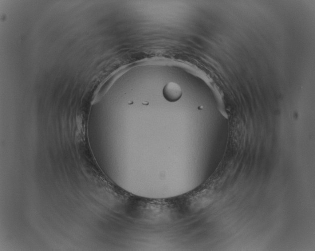 X0000089670420200707121229