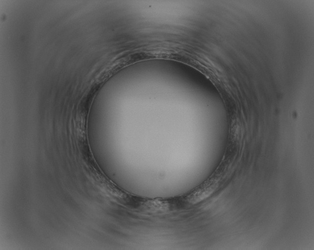 X0000089670421200707121229