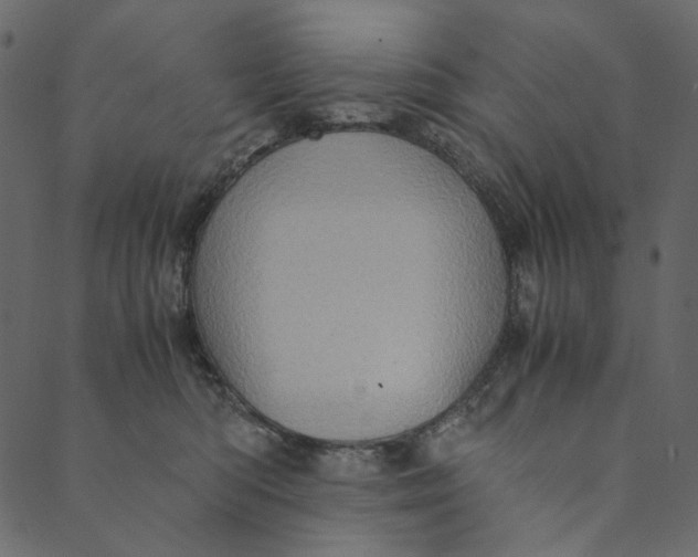 X0000089670422200707121229