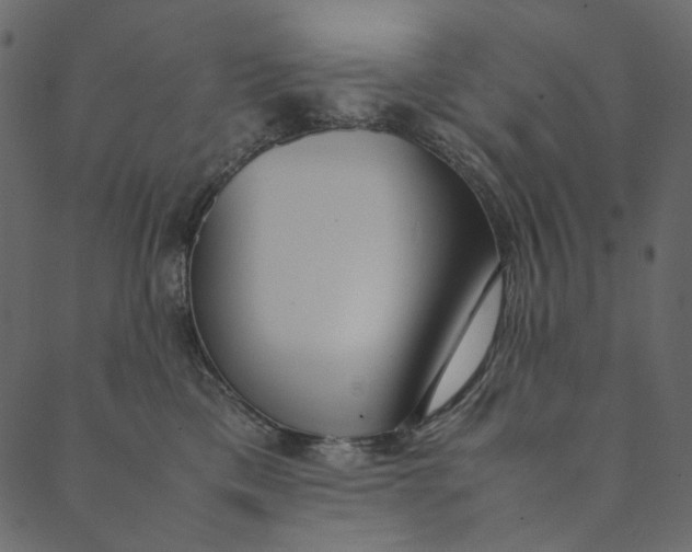 X0000089670425200707121229