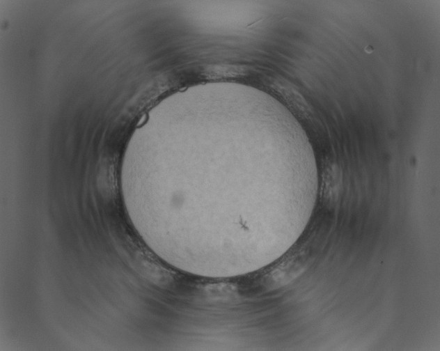 X0000089670426200707121228