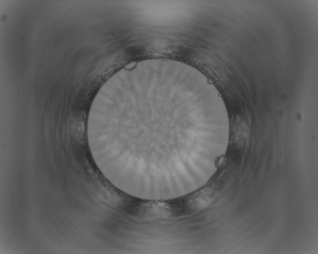 X0000089670427200707121228