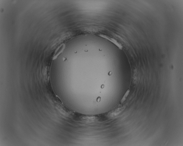 X0000089670428200707121228