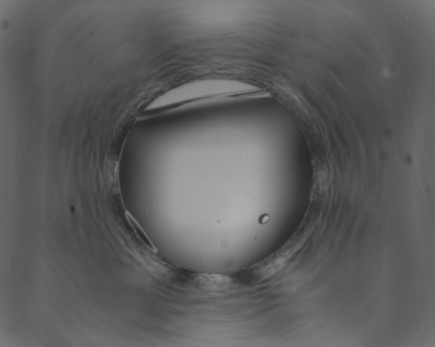 X0000089670429200707121228