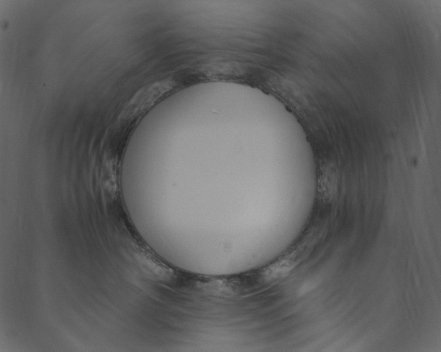 X0000089670430200707121228