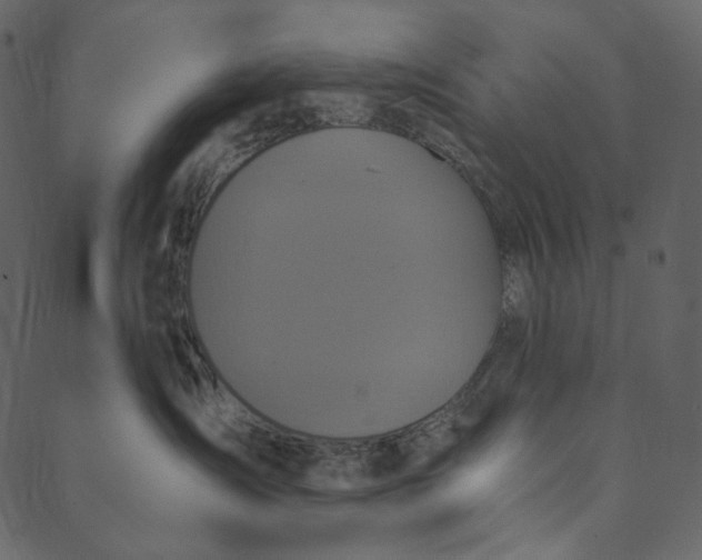 X0000089670431200707121228