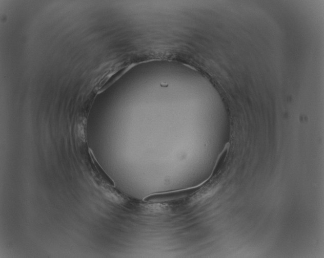 X0000089670432200707121228