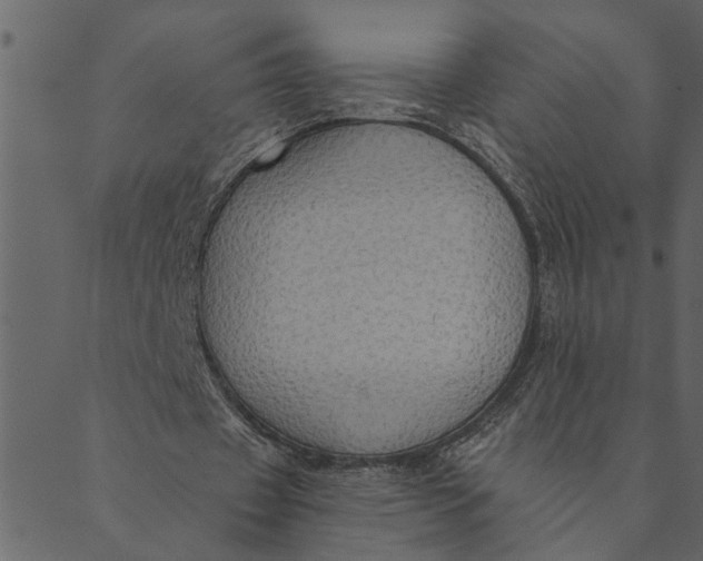 X0000089670433200707121228