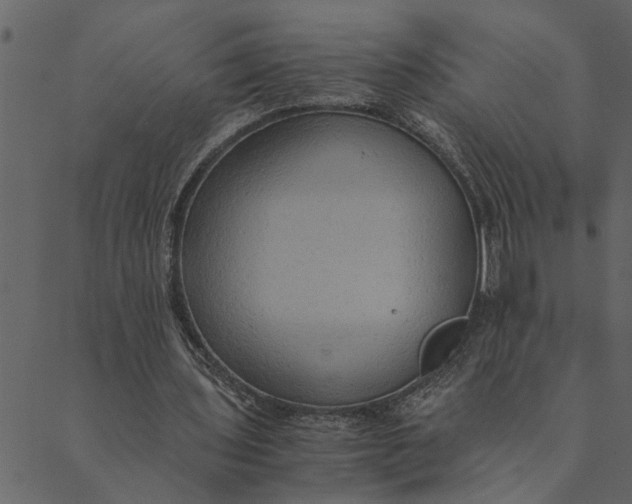 X0000089670435200707121228