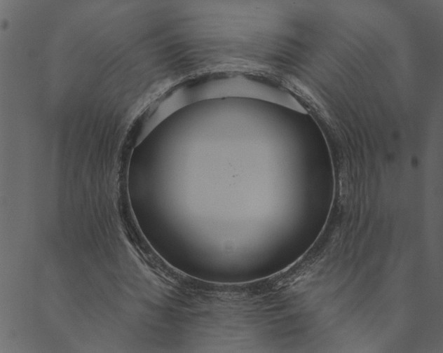 X0000089670436200707121228