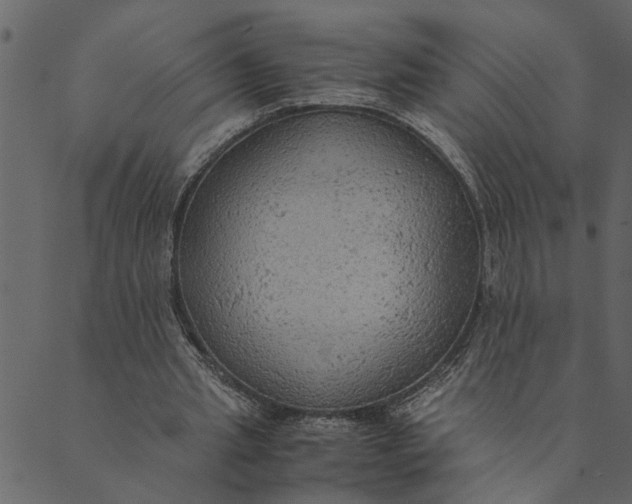 X0000089670437200707121228