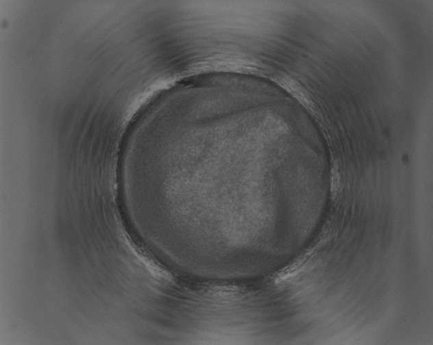 X0000089670438200707121228