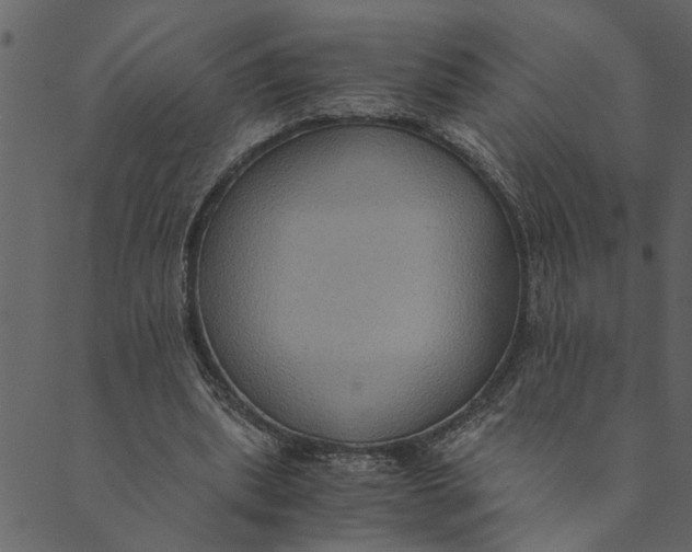 X0000089670439200707121228