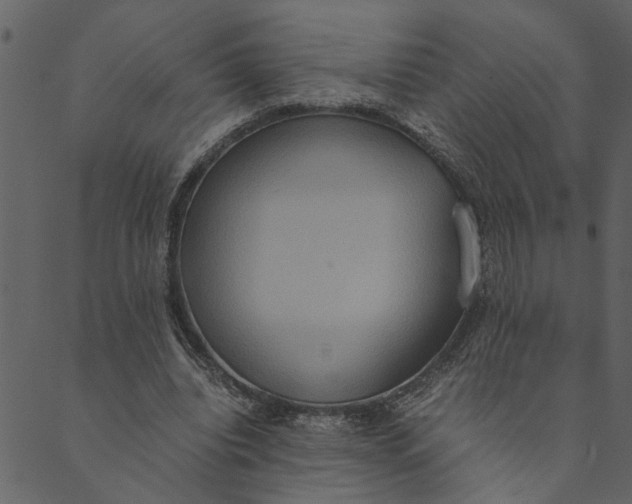 X0000089670440200707121228