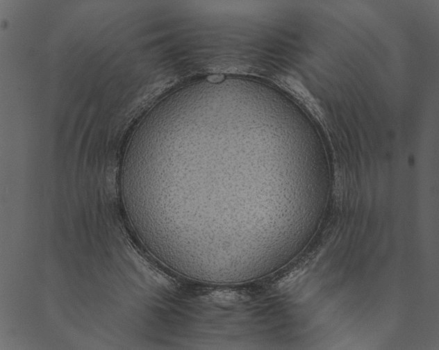 X0000089670441200707121228