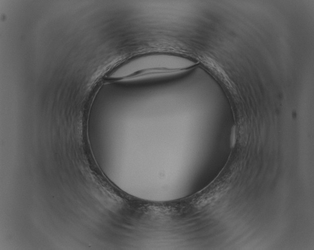 X0000089670442200707121228