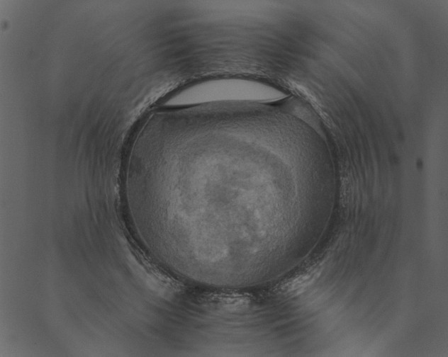 X0000089670443200707121228