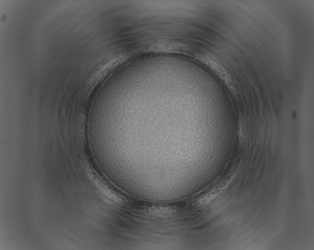 X0000089670445200707121228