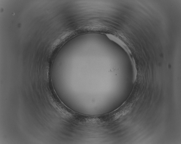 X0000089670446200707121228