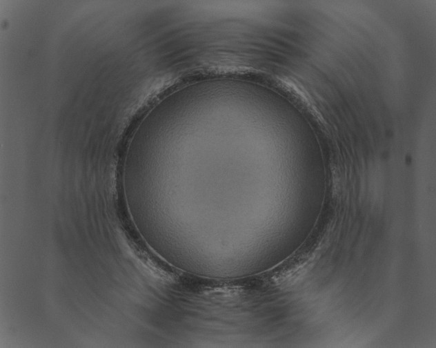 X0000089670447200707121228