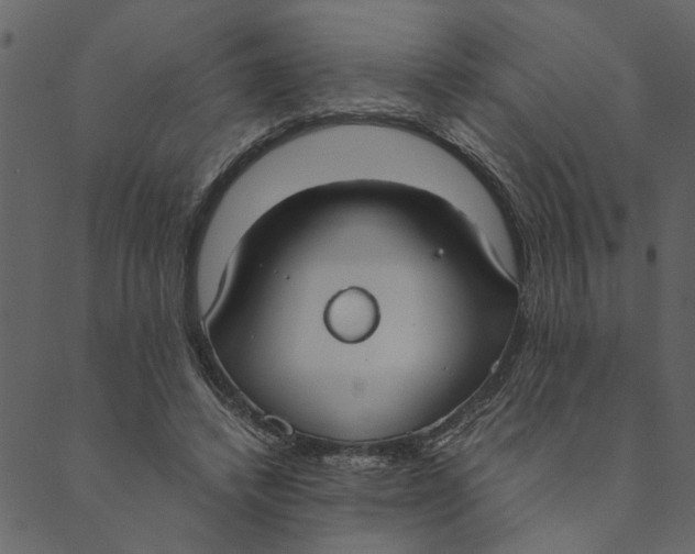 X0000089670448200707121228