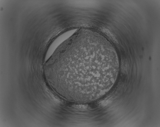 X0000089670449200707121228