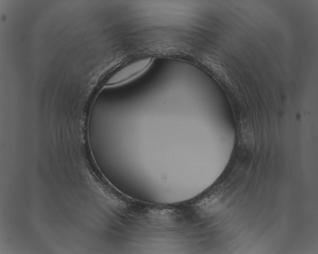 X0000089670450200707121228