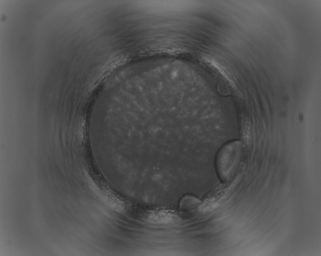 X0000089670451200707121228