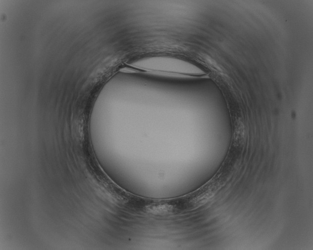 X0000089670452200707121228