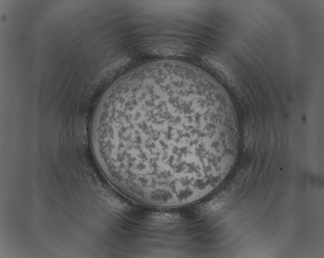 X0000089670453200707121228