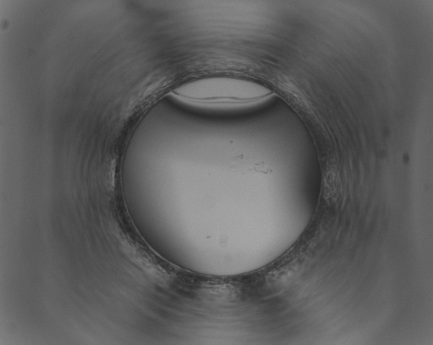 X0000089670454200707121228