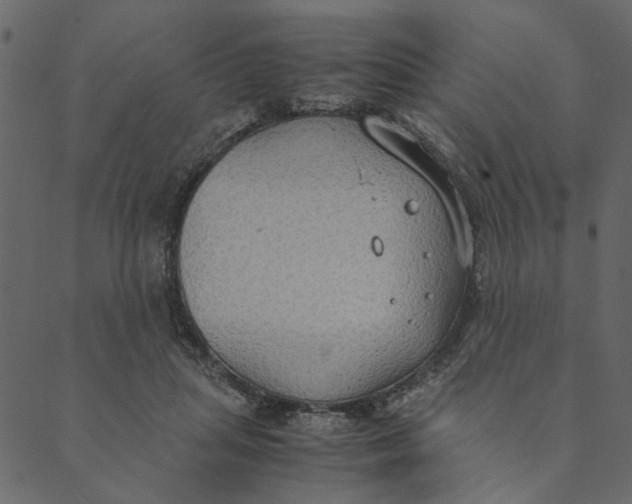 X0000089670455200707121228