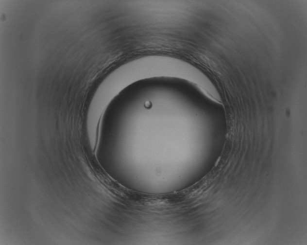 X0000089670456200707121228