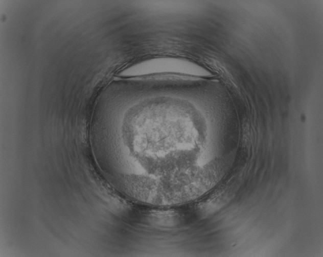 X0000089670457200707121228